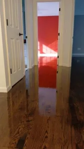 Glossy, newly refinished wood floor in hallway with doors visible.