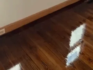 Restored living room after floor refinish old house.